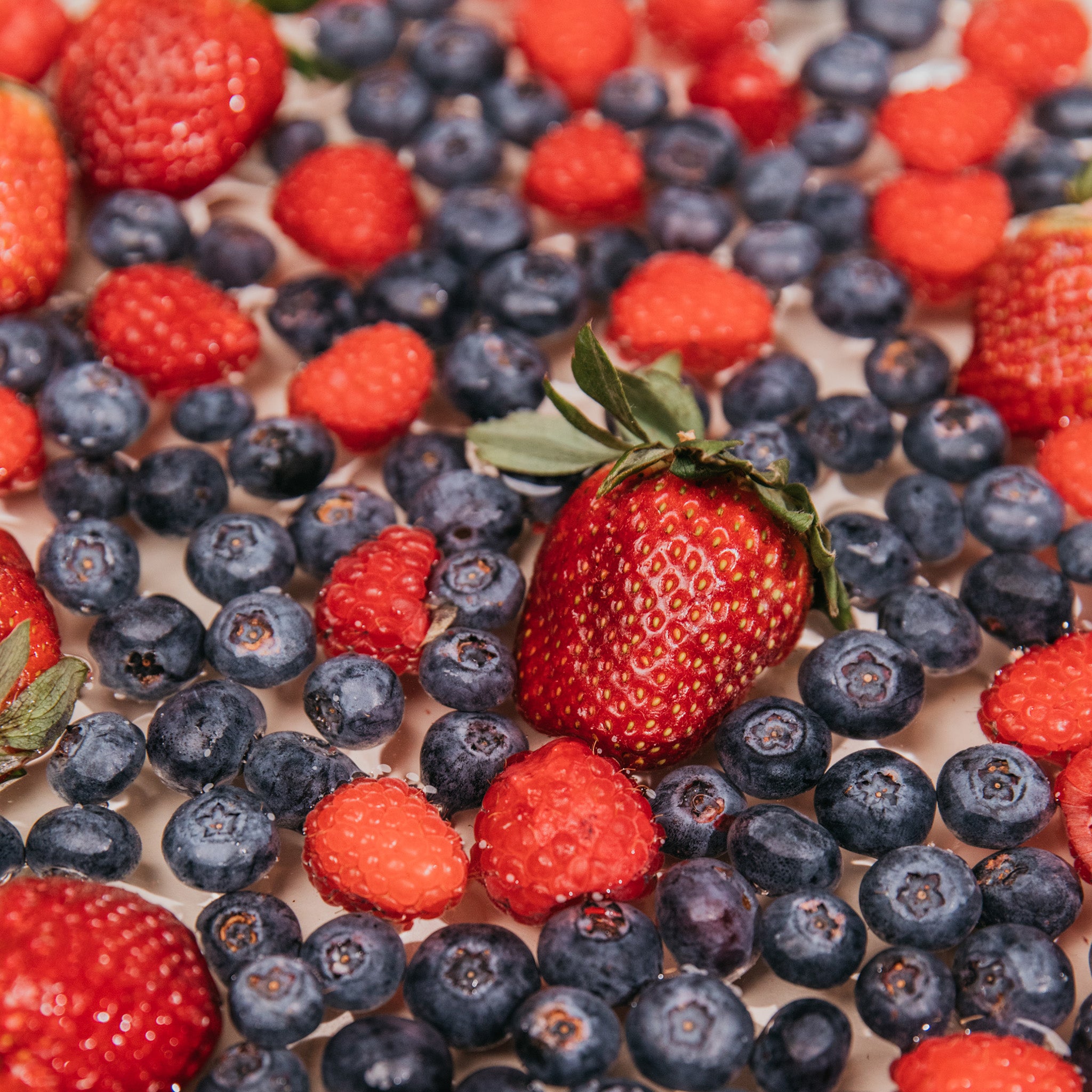 Franjo's Kitchen Motherhood Hydration Powder - Mixed Berry