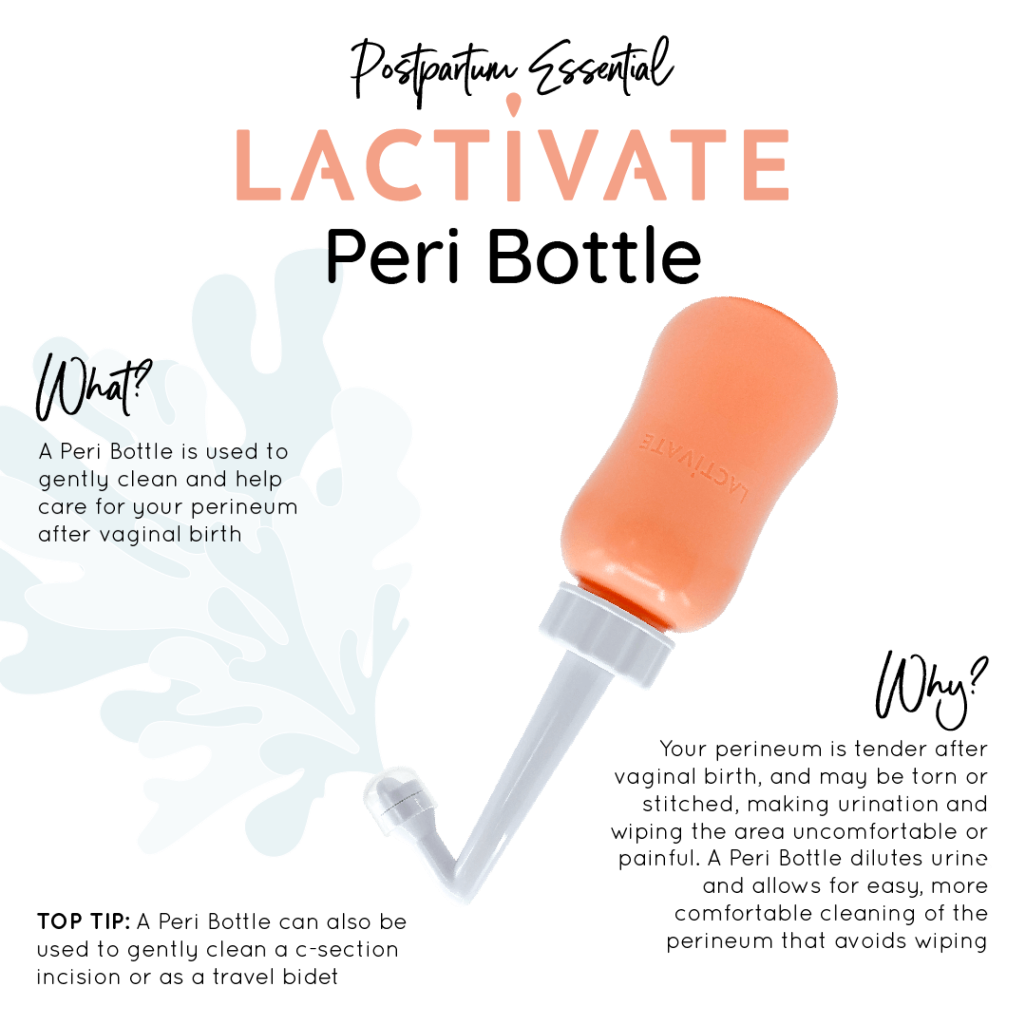 Lactivate Peri Bottle